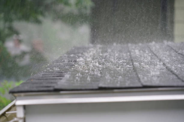 Best Roof Insulation Installation  in Dormont, PA