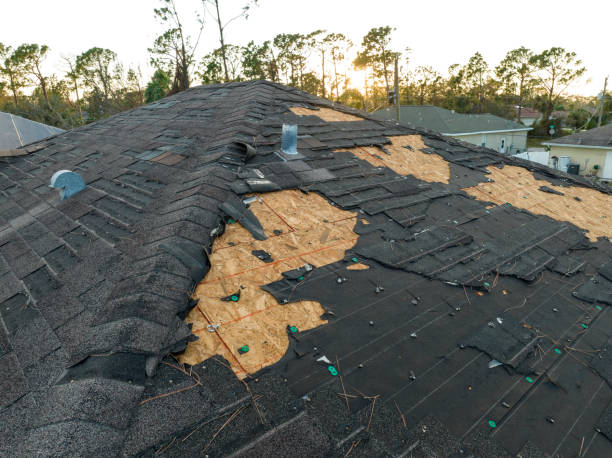 Best Roof Coating and Sealing  in Dormont, PA